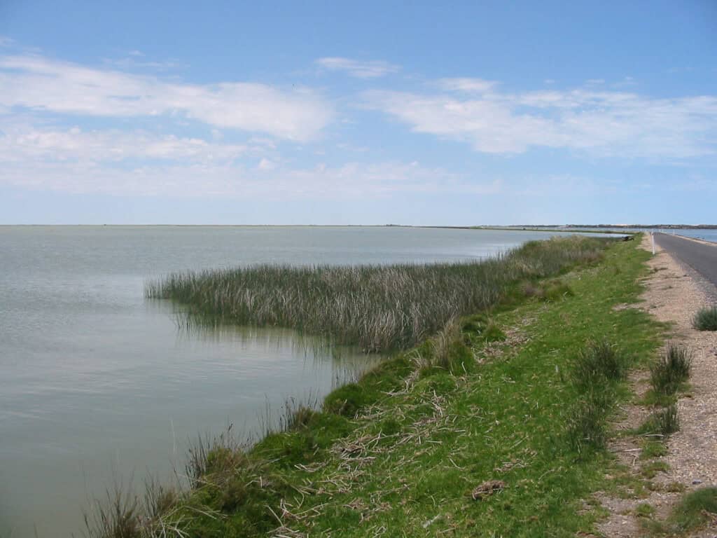Photo of Murray Darling Basin