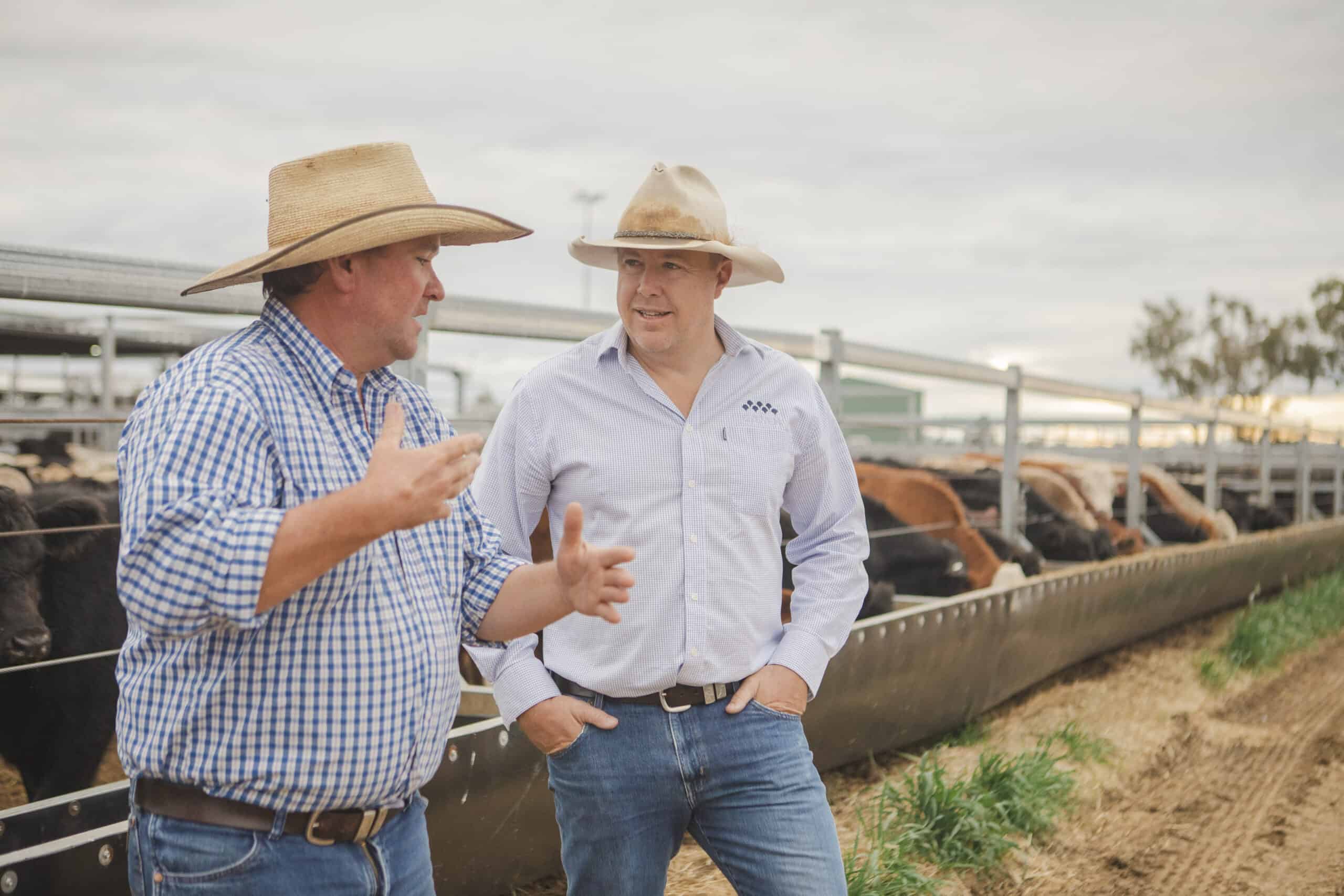 Two men on cattle farm with cows in background