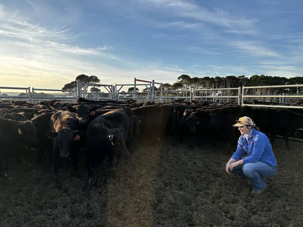 Girl inside a cow pen