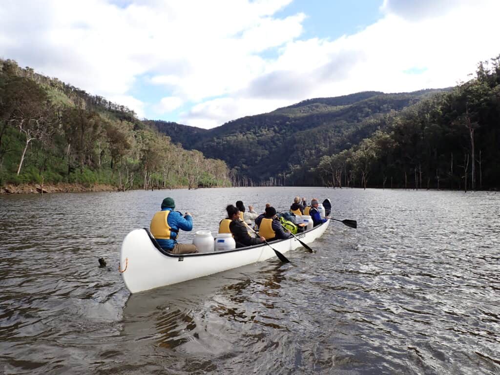 Group of people kayaking