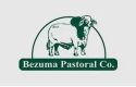 Bezuma-Pastoral-logo