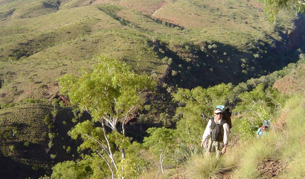 Man hiking in vast landscape.