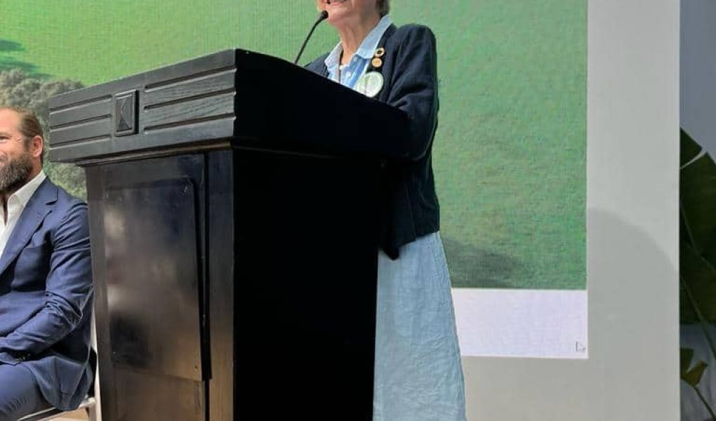 Diana addressing COP27 meeting