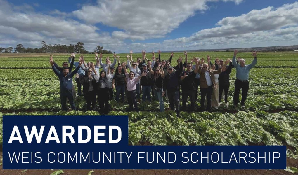 Marketing Standard Headers