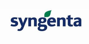 syngenta syngenta